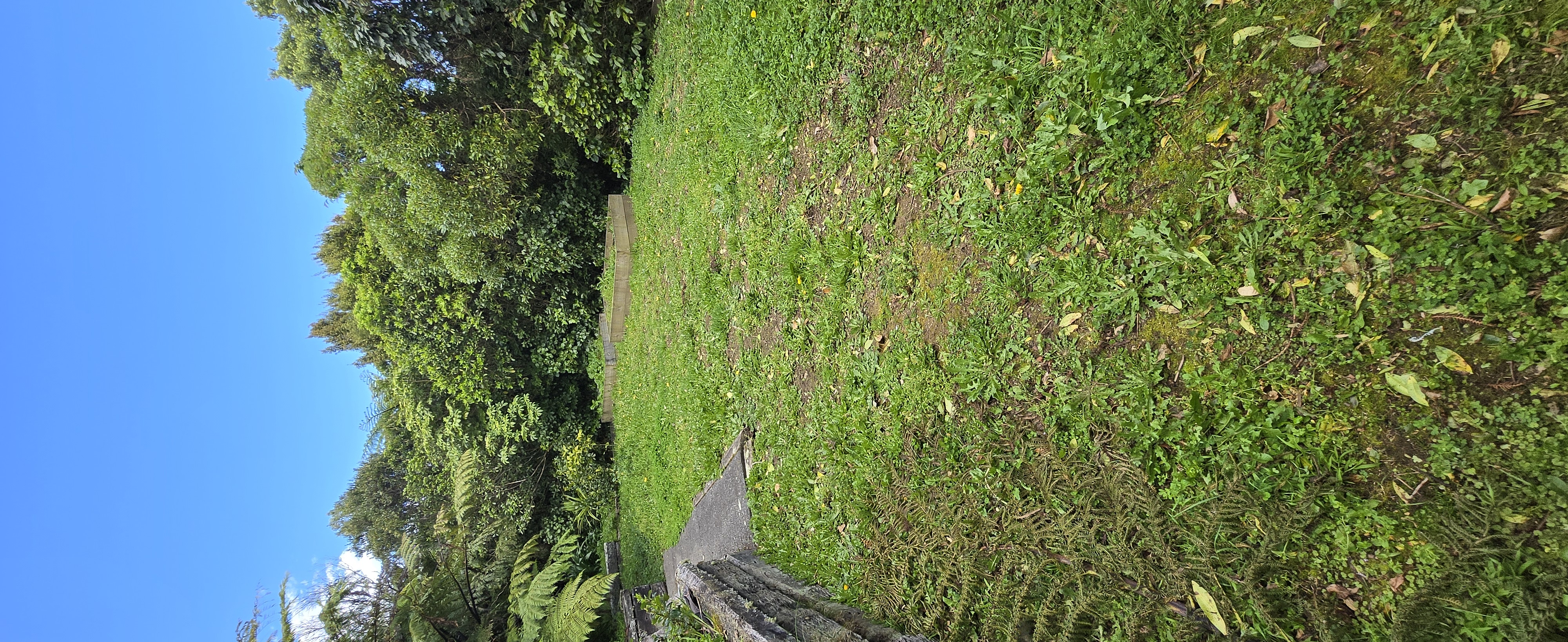 Backyard lawn mowing Raumati
