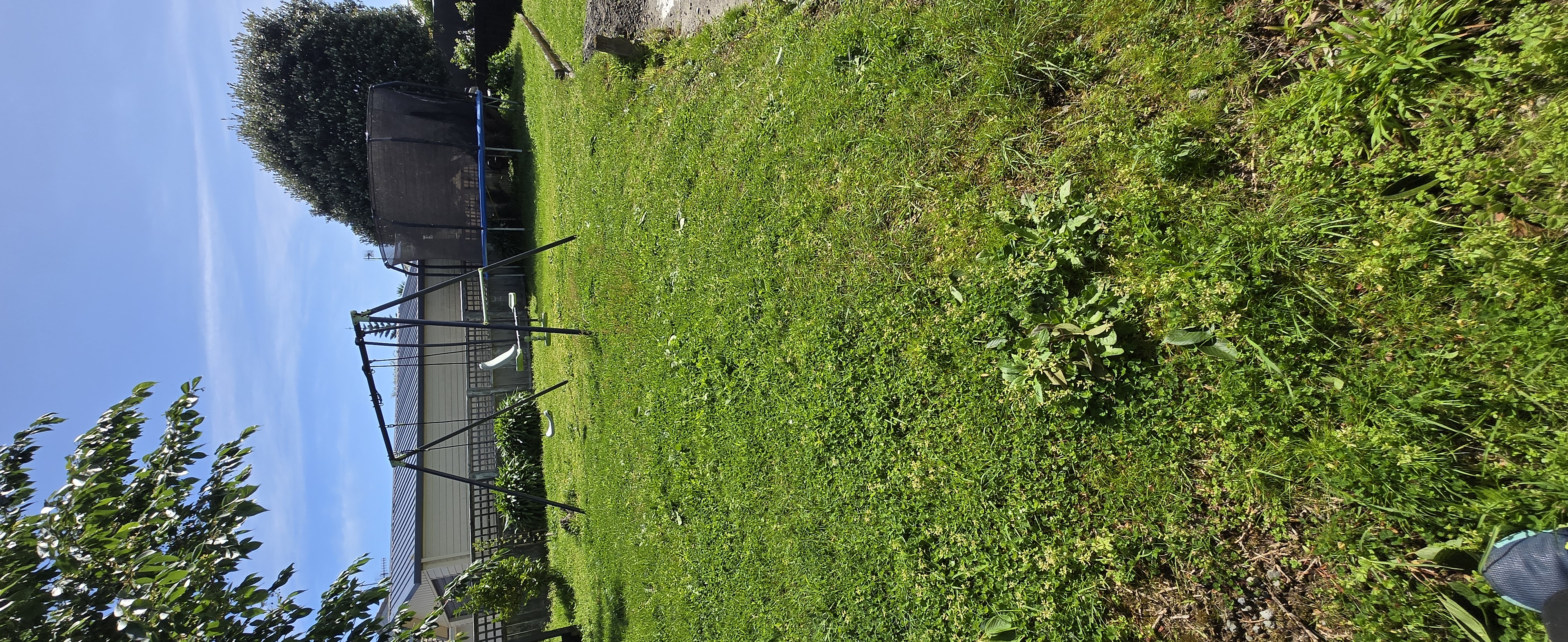 Lawn mowing service Paraparaumu Kapiti Coast